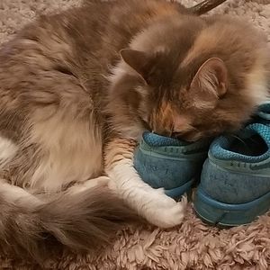 Meet your Posher, Laure